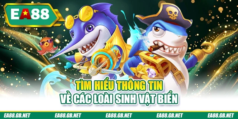 Bắn Cá Đổi Thưởng | Sảnh Game Ăn Thưởng Tiền Thật Hot 2 Tìm hiểu thông tin về các loài sinh vật biển
