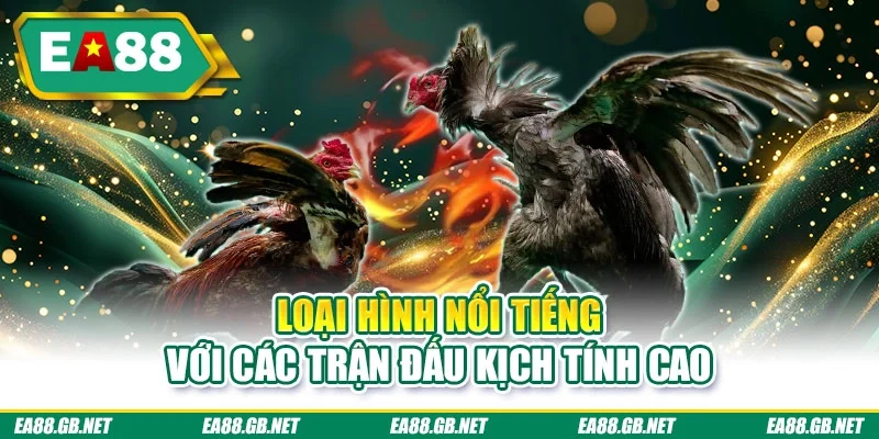 Loại hình nổi tiếng với các trận đấu kịch tính cao