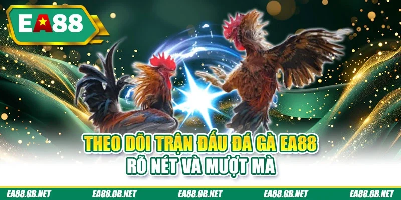 Theo dõi trận đấu đá gà EA88 rõ nét và mượt mà