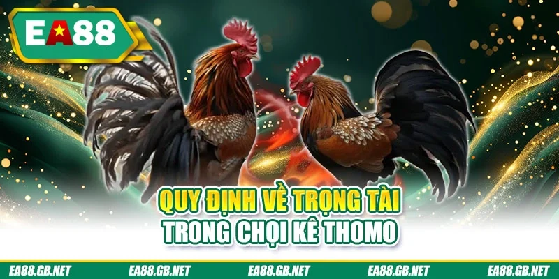 Đá Gà Thomo - Khám Phá Nhiều Trận Đấu Kịch Tính, Hấp Dẫn 2 Quy định về trọng tài trong chọi kê thomo