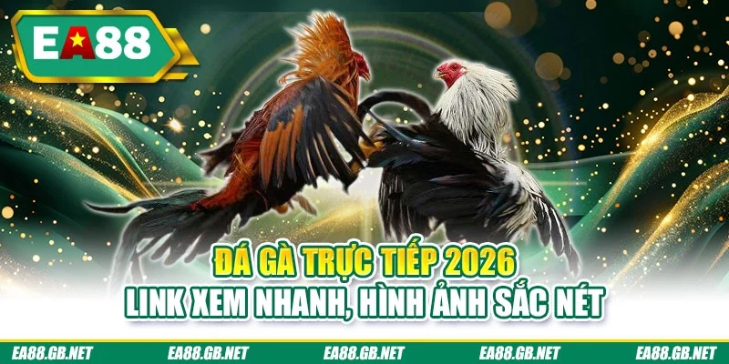 Đá gà trực tiếp