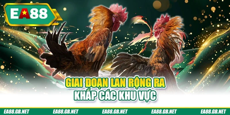 Lịch Sử Đá Gà Ấn Tượng, Nổi Bật Qua Nhiều Thời Kỳ Đặc Sắc 2 Giai đoạn lan rộng ra khắp các khu vực