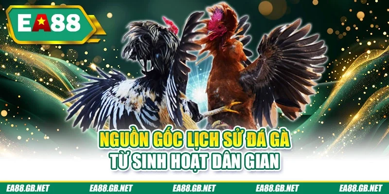 Lịch Sử Đá Gà Ấn Tượng, Nổi Bật Qua Nhiều Thời Kỳ Đặc Sắc 1 Nguồn gốc lịch sử đá gà tư sinh hoạt dân gian