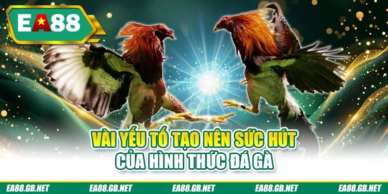 Lịch Sử Đá Gà Ấn Tượng, Nổi Bật Qua Nhiều Thời Kỳ Đặc Sắc 3 Vài yếu tố tạo nên sức hút của hình thức đá gà