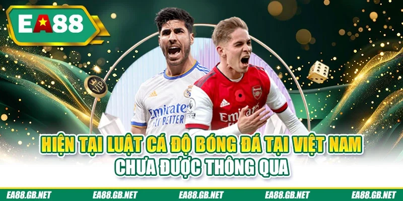 Hiện tại luật cá độ bóng đá tại Việt Nam chưa được thông qua