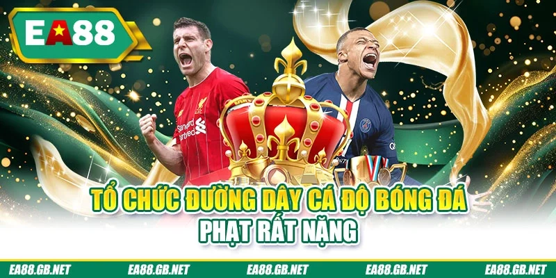 Tổ chức đường dây cá độ bóng đá phạt rất nặng