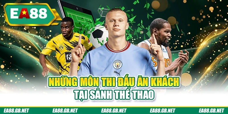 Những môn thi đấu ăn khách tại sảnh thể thao